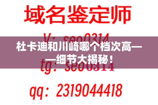 杜卡迪和川崎哪个档次高——细节大揭秘！