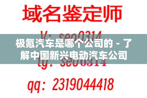 极氪汽车是哪个公司的 - 了解中国新兴电动汽车公司