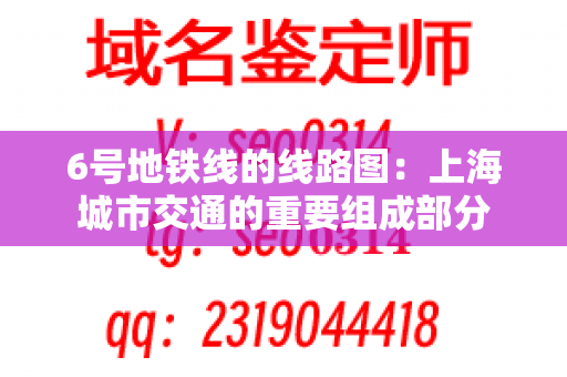 6号地铁线的线路图：上海城市交通的重要组成部分