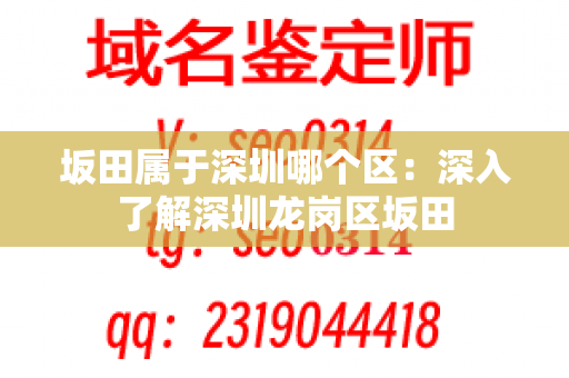 坂田属于深圳哪个区：深入了解深圳龙岗区坂田