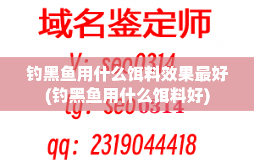 钓黑鱼用什么饵料效果最好(钓黑鱼用什么饵料好)