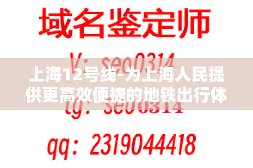 上海12号线-为上海人民提供更高效便捷的地铁出行体验