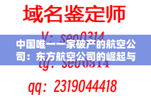 中国唯一一家破产的航空公司：东方航空公司的崛起与陨落