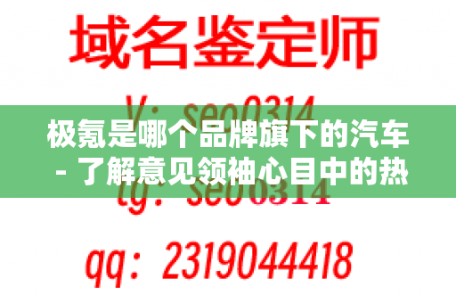 极氪是哪个品牌旗下的汽车 - 了解意见领袖心目中的热门品牌