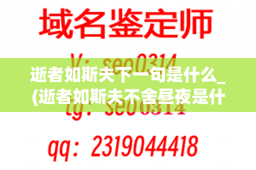 逝者如斯夫下一句是什么_(逝者如斯夫不舍昼夜是什么意思)