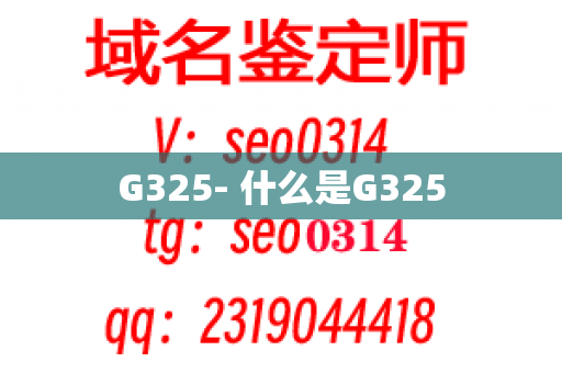 G325- 什么是G325