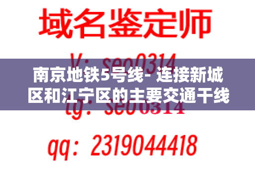 南京地铁5号线- 连接新城区和江宁区的主要交通干线