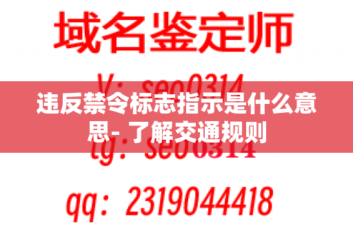 违反禁令标志指示是什么意思- 了解交通规则