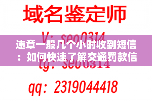 违章一般几个小时收到短信：如何快速了解交通罚款信息