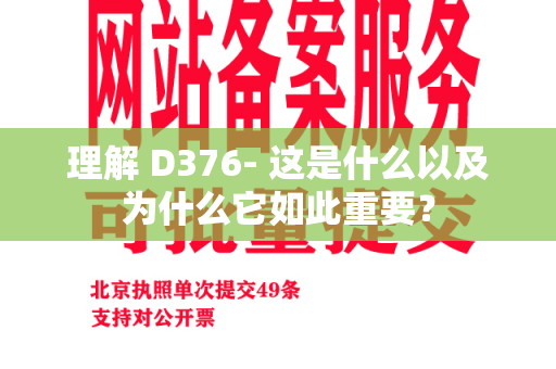 理解 D376- 这是什么以及为什么它如此重要？