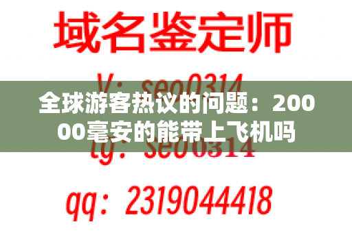 全球游客热议的问题：20000毫安的能带上飞机吗