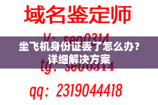 坐飞机身份证丢了怎么办？详细解决方案