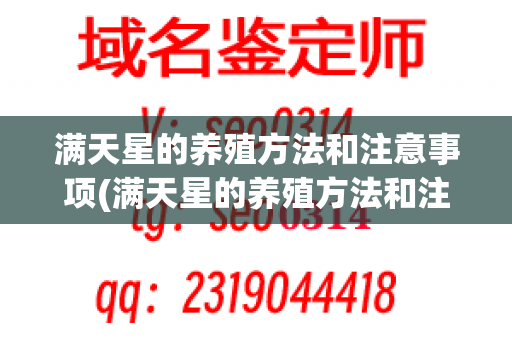 满天星的养殖方法和注意事项(满天星的养殖方法和注意事项有哪些)