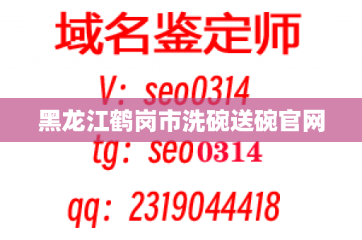 黑龙江鹤岗市洗碗送碗官网