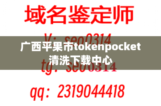 广西平果市tokenpocket清洗下载中心