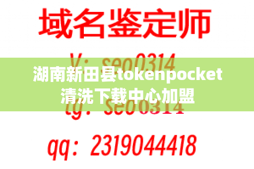 湖南新田县tokenpocket清洗下载中心加盟