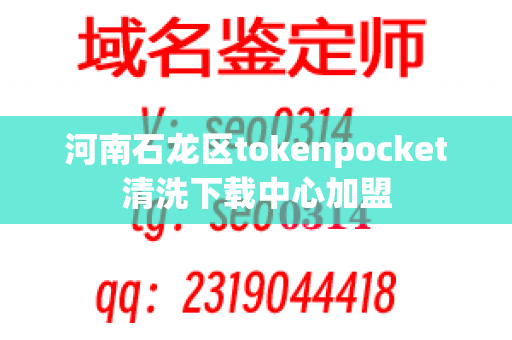 河南石龙区tokenpocket清洗下载中心加盟