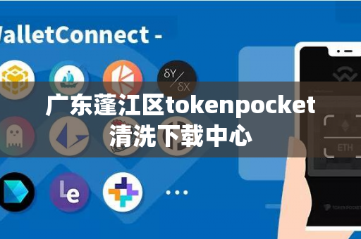 广东蓬江区tokenpocket清洗下载中心