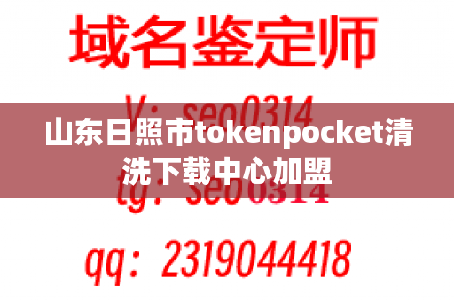 山东日照市tokenpocket清洗下载中心加盟