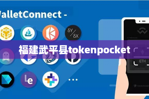 福建武平县tokenpocket