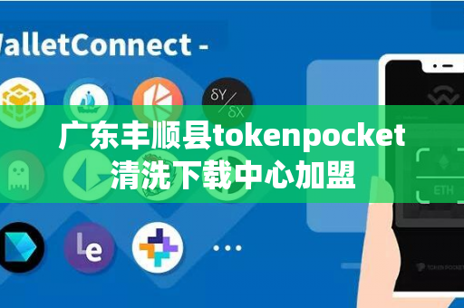 广东丰顺县tokenpocket清洗下载中心加盟