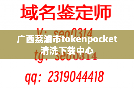 广西荔浦市tokenpocket清洗下载中心