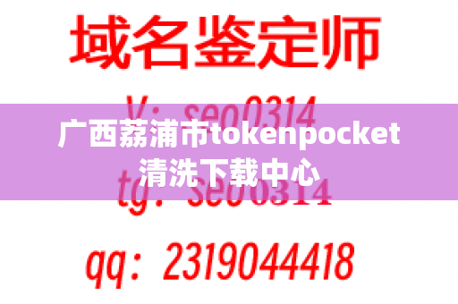 广西荔浦市tokenpocket清洗下载中心