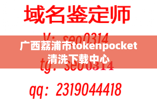 广西荔浦市tokenpocket清洗下载中心