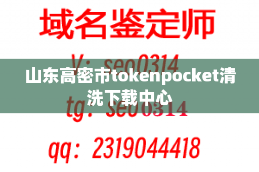 山东高密市tokenpocket清洗下载中心