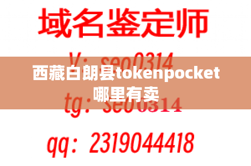 西藏白朗县tokenpocket哪里有卖