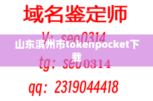 山东滨州市tokenpocket下载