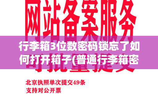 行李箱3位数密码锁忘了如何打开箱子(普通行李箱密码忘记了怎么办)