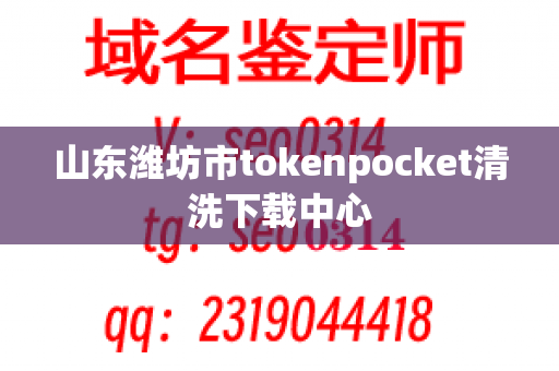 山东潍坊市tokenpocket清洗下载中心