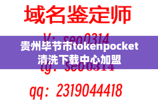 贵州毕节市tokenpocket清洗下载中心加盟