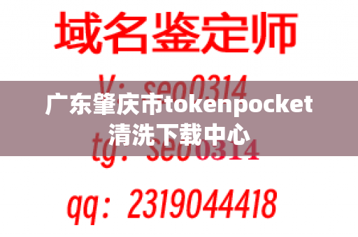 广东肇庆市tokenpocket清洗下载中心