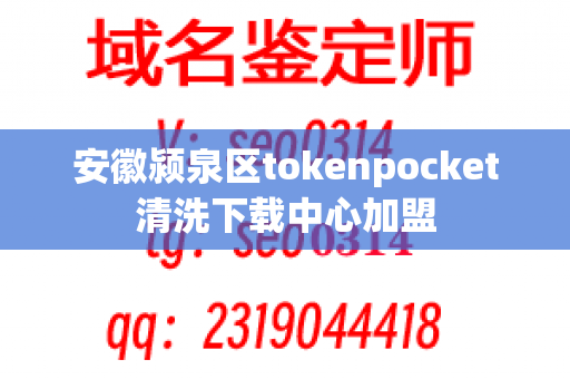 安徽颍泉区tokenpocket清洗下载中心加盟