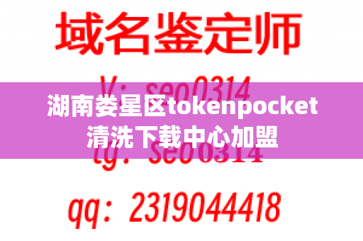 湖南娄星区tokenpocket清洗下载中心加盟