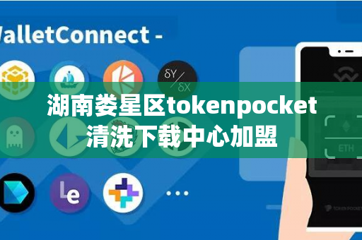 湖南娄星区tokenpocket清洗下载中心加盟