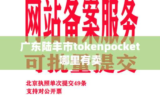 广东陆丰市tokenpocket哪里有卖