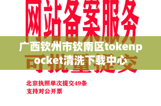 广西钦州市钦南区tokenpocket清洗下载中心