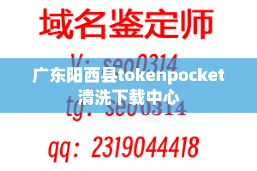 广东阳西县tokenpocket清洗下载中心