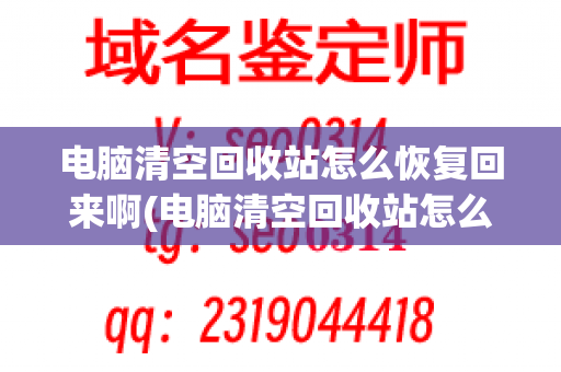 电脑清空回收站怎么恢复回来啊(电脑清空回收站怎么恢复回来免费)