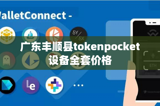 广东丰顺县tokenpocket设备全套价格