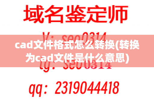 cad文件格式怎么转换(转换为cad文件是什么意思)