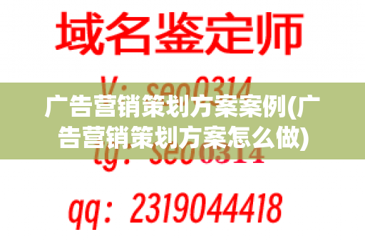 广告营销策划方案案例(广告营销策划方案怎么做)