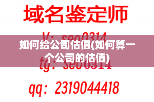 如何给公司估值(如何算一个公司的估值)