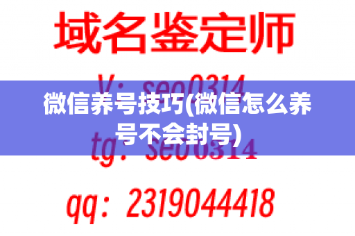 微信养号技巧(微信怎么养号不会封号)