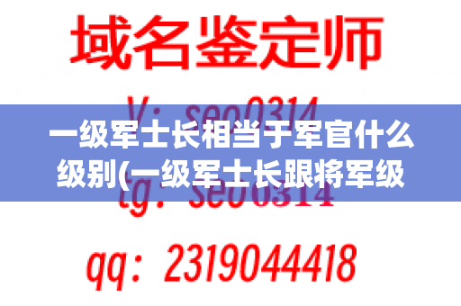 一级军士长相当于军官什么级别(一级军士长跟将军级别一样么)