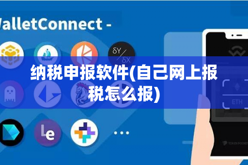 纳税申报软件(自己网上报税怎么报)