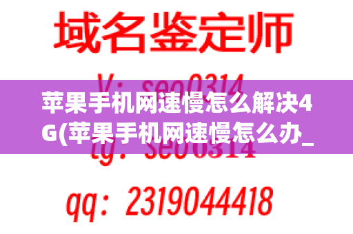 苹果手机网速慢怎么解决4G(苹果手机网速慢怎么办_)